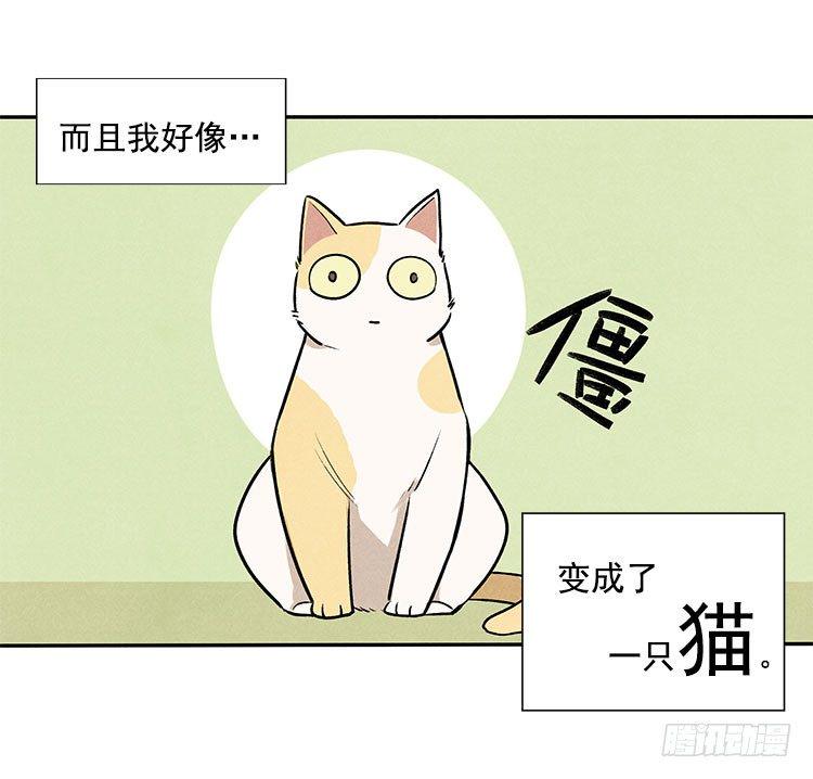 意想不到16