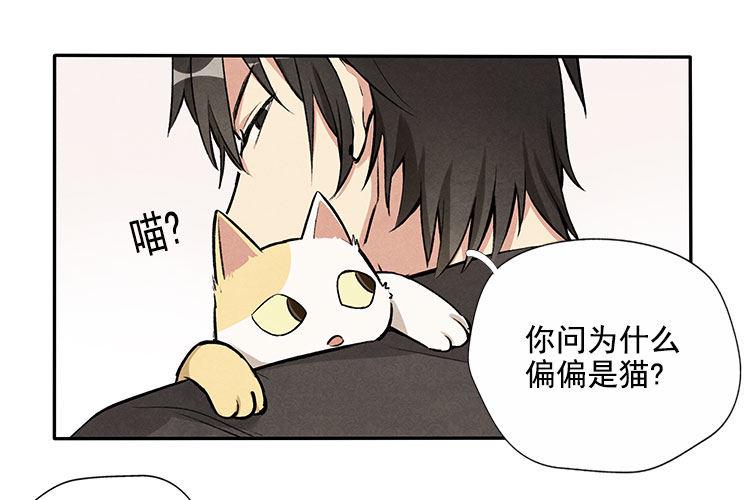 意想不到31