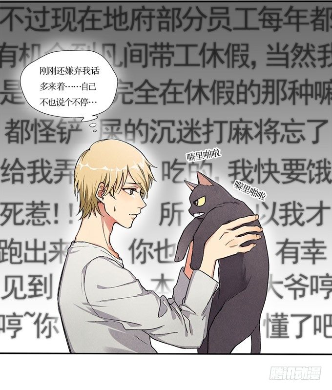 猫的报恩？13