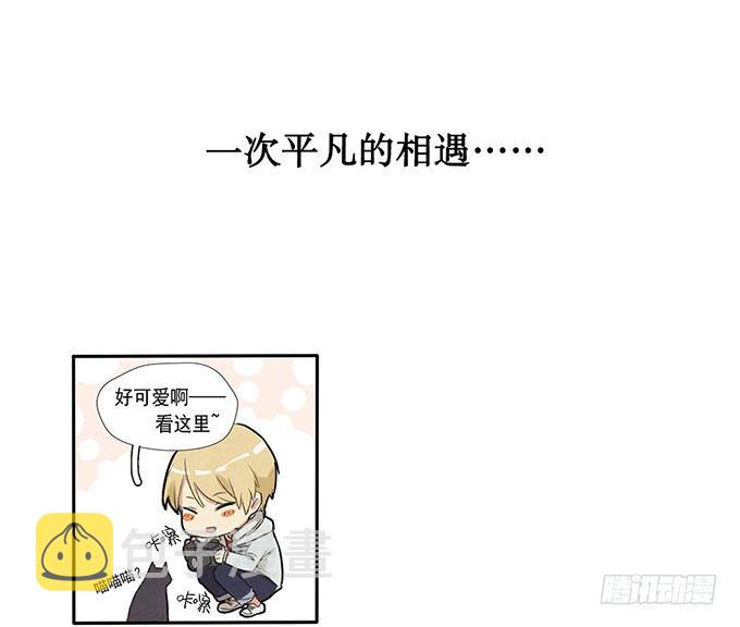 预告3
