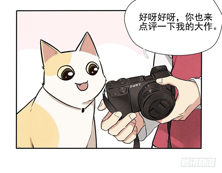 怎么会这样33