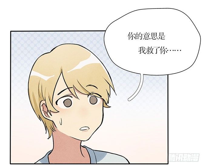 猫的报恩？14