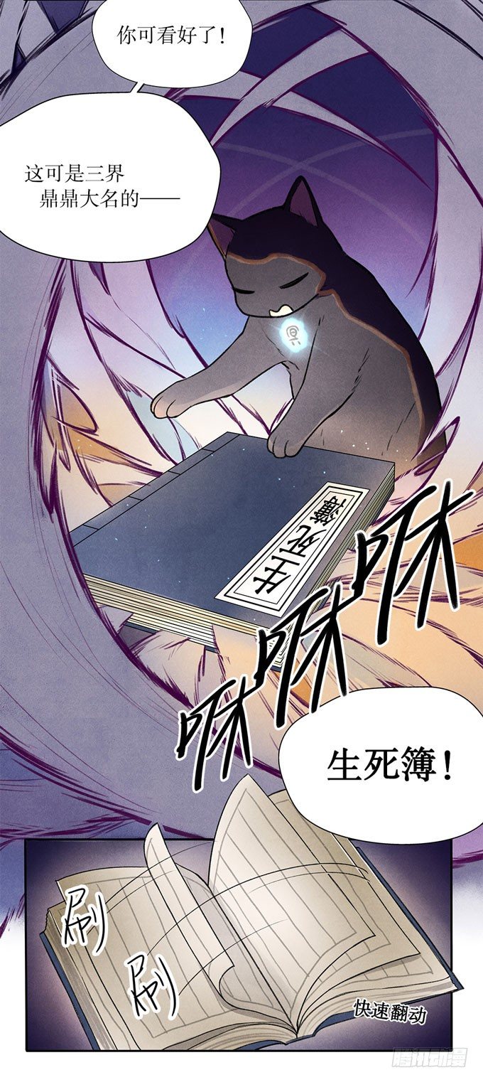 猫的报恩？21