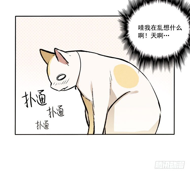 怎么会这样38