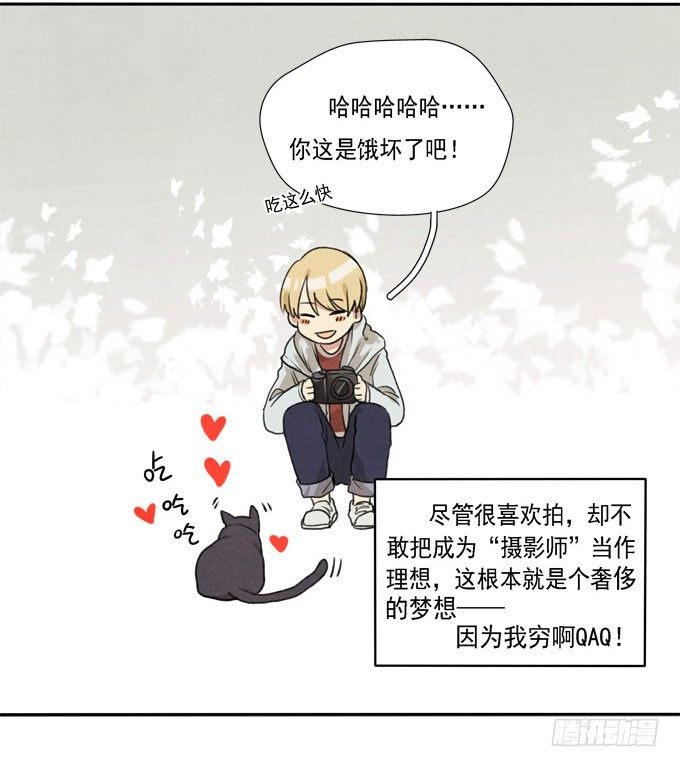 猫的报恩？5