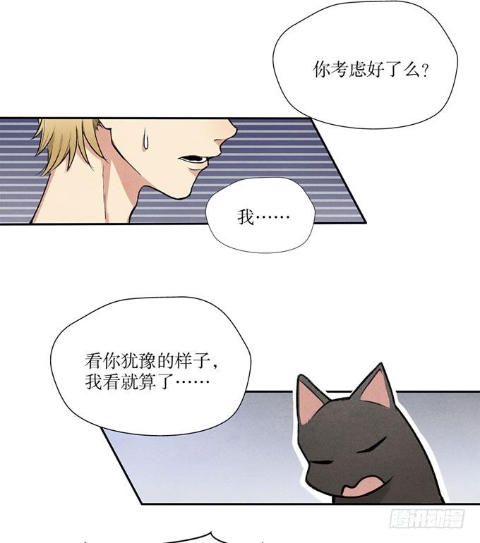 猫的报恩？18