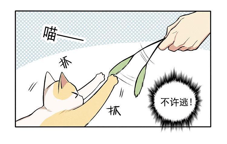 意想不到21