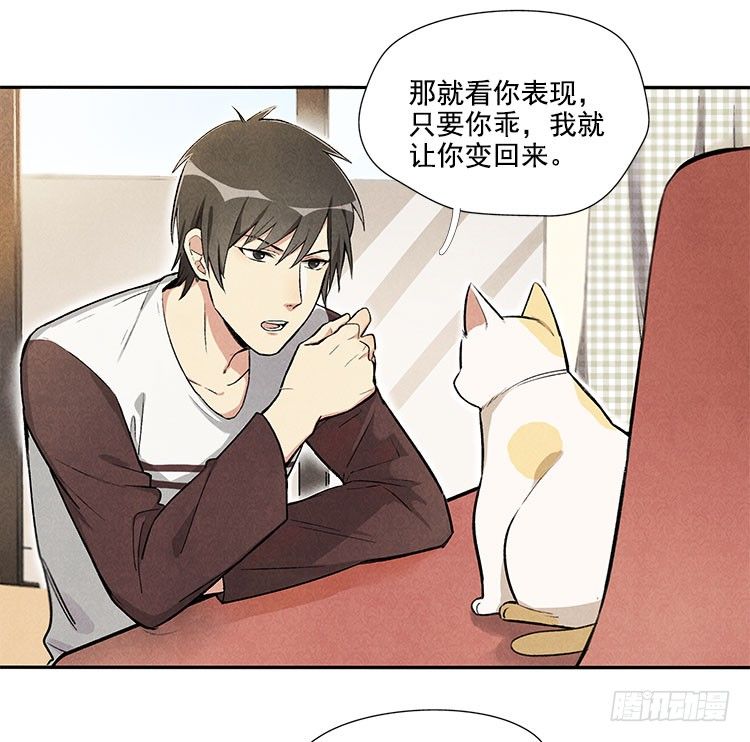 怎么会这样12