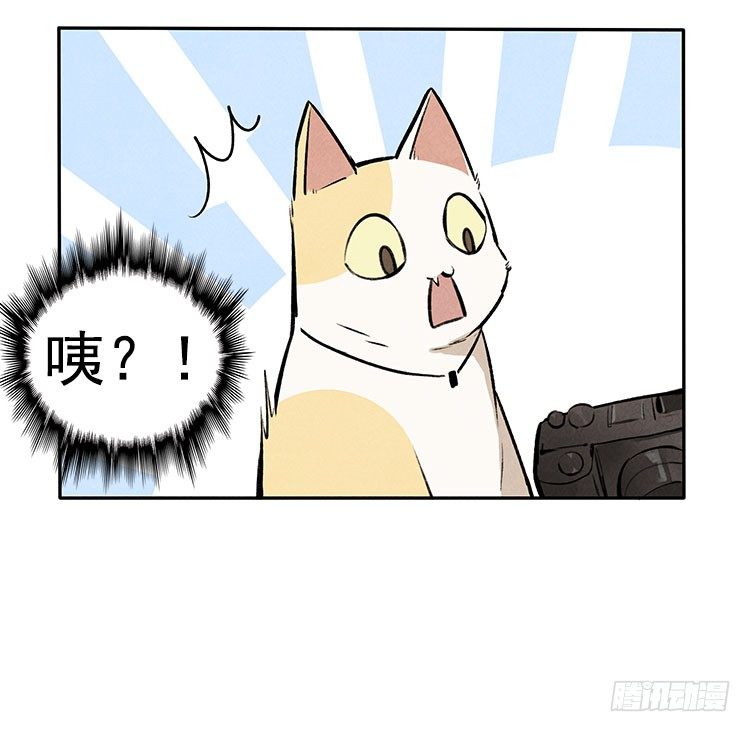 怎么会这样34