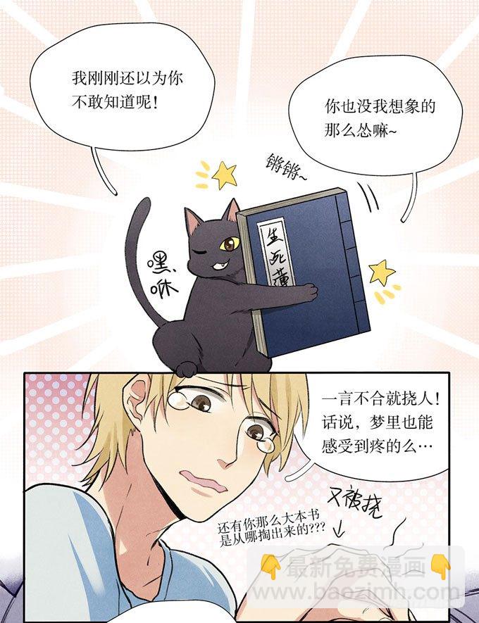 猫的报恩？20
