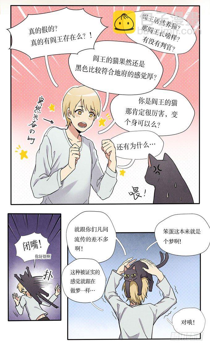 猫的报恩？12