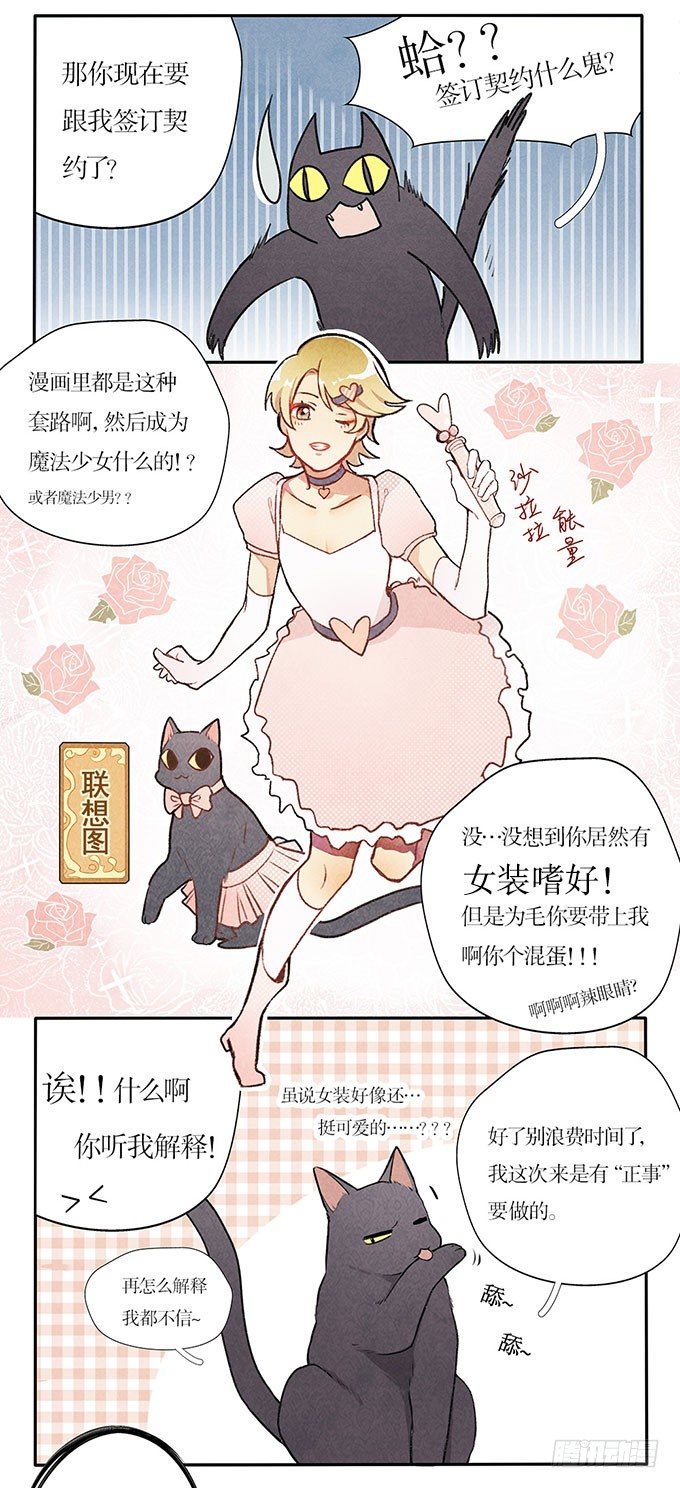 猫的报恩？15