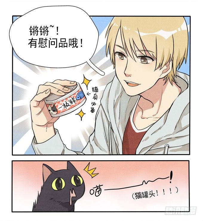 猫的报恩？4