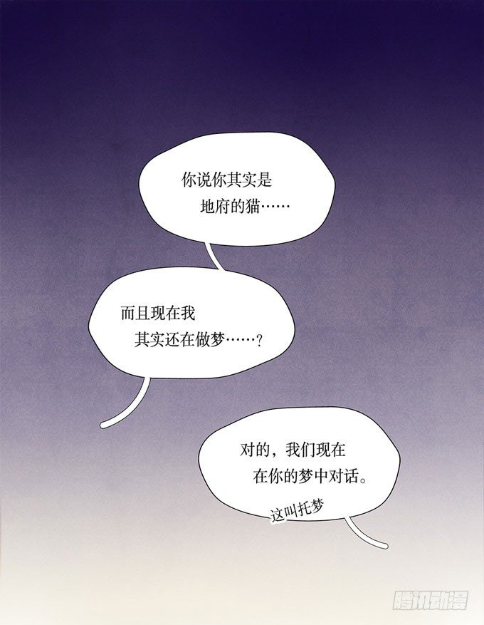 猫的报恩？11