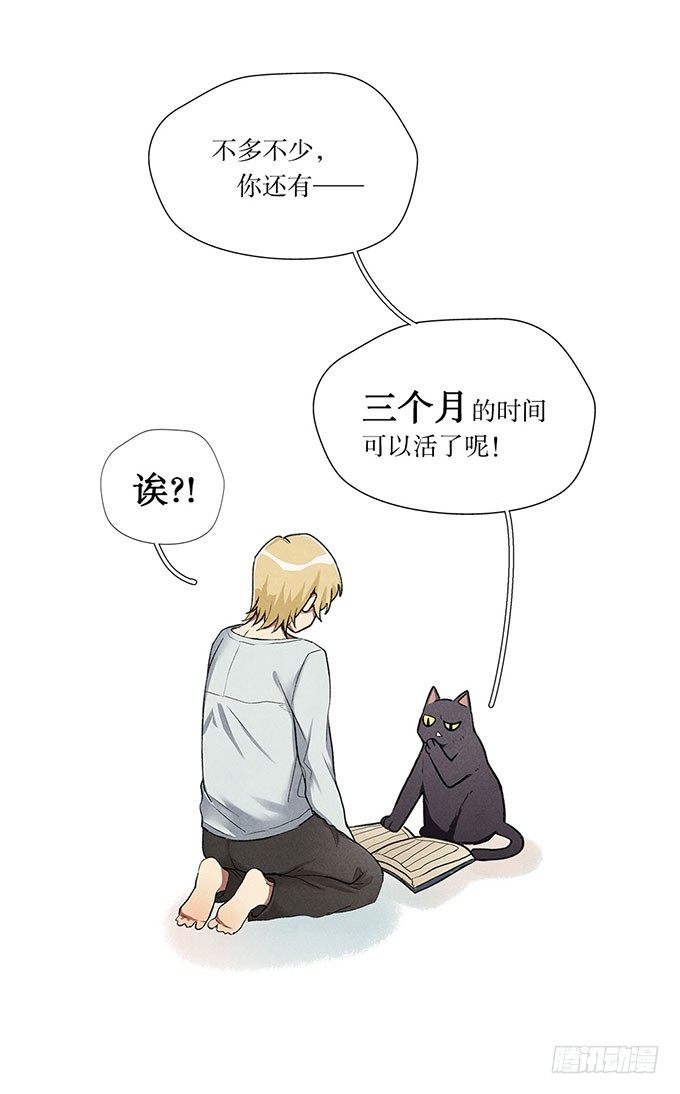 猫的报恩？24