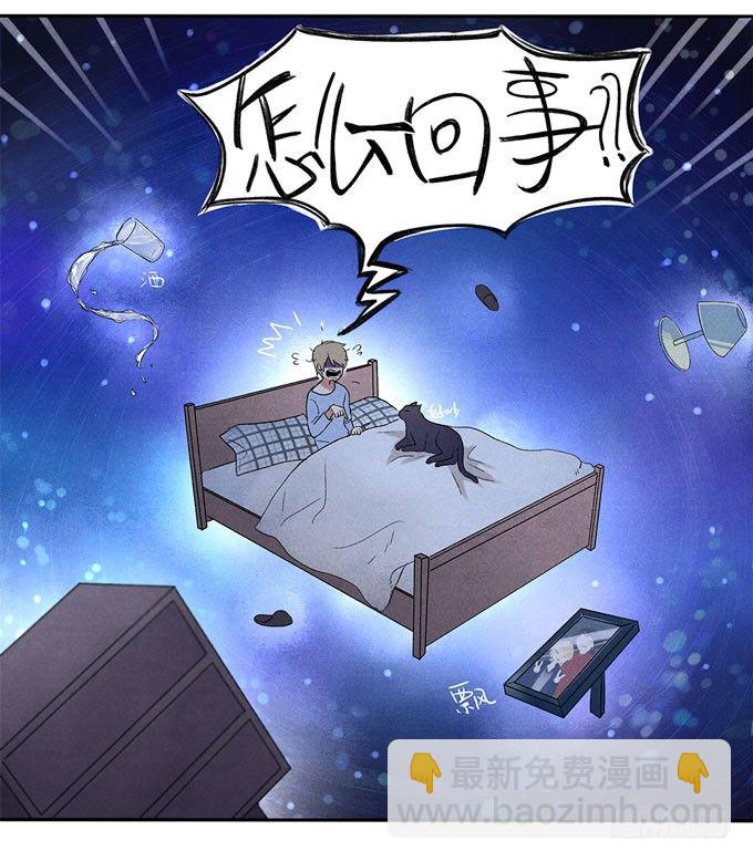 猫的报恩？10