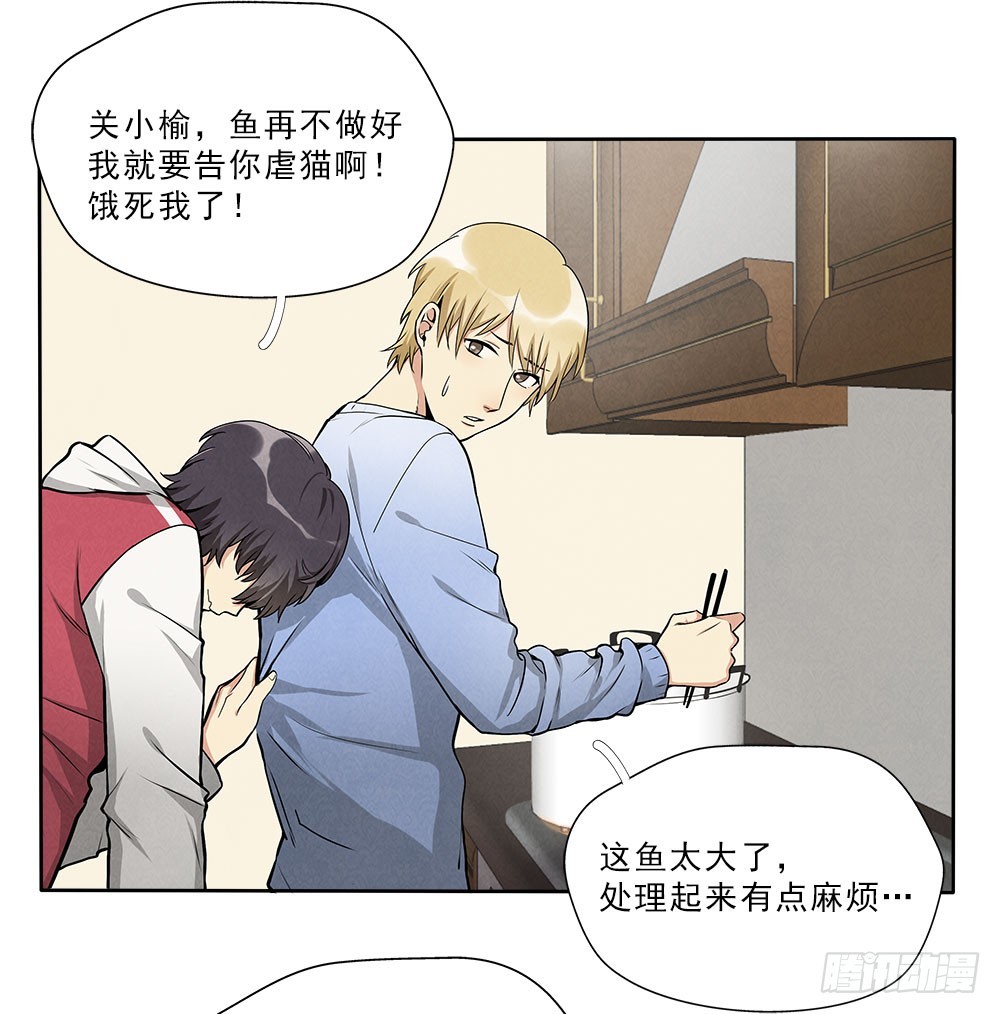 回来11