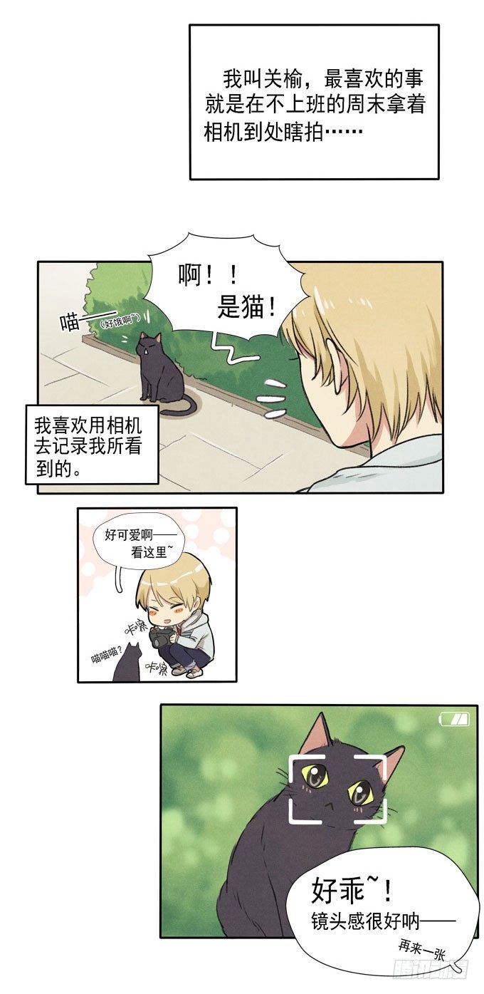 猫的报恩？3