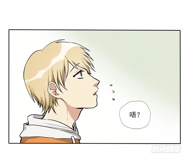 选项7