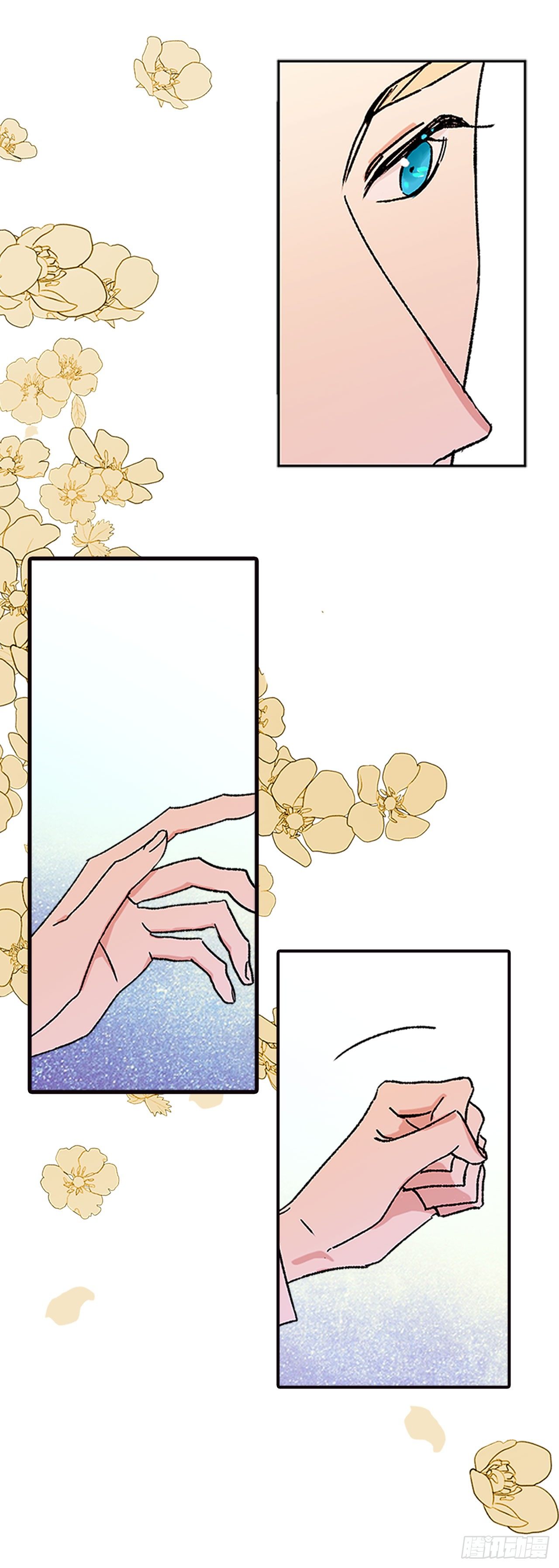 3.特制布丁8