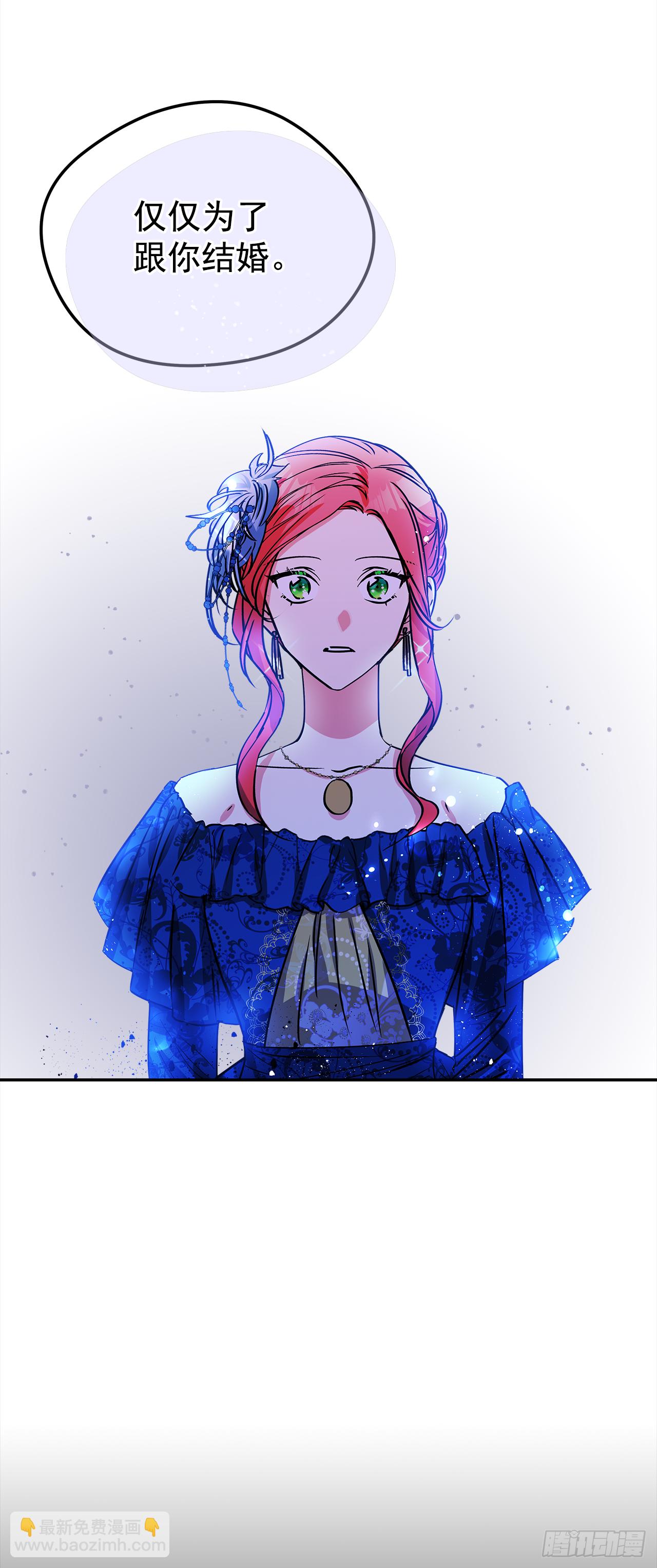 49.伯爵夫人的本分9