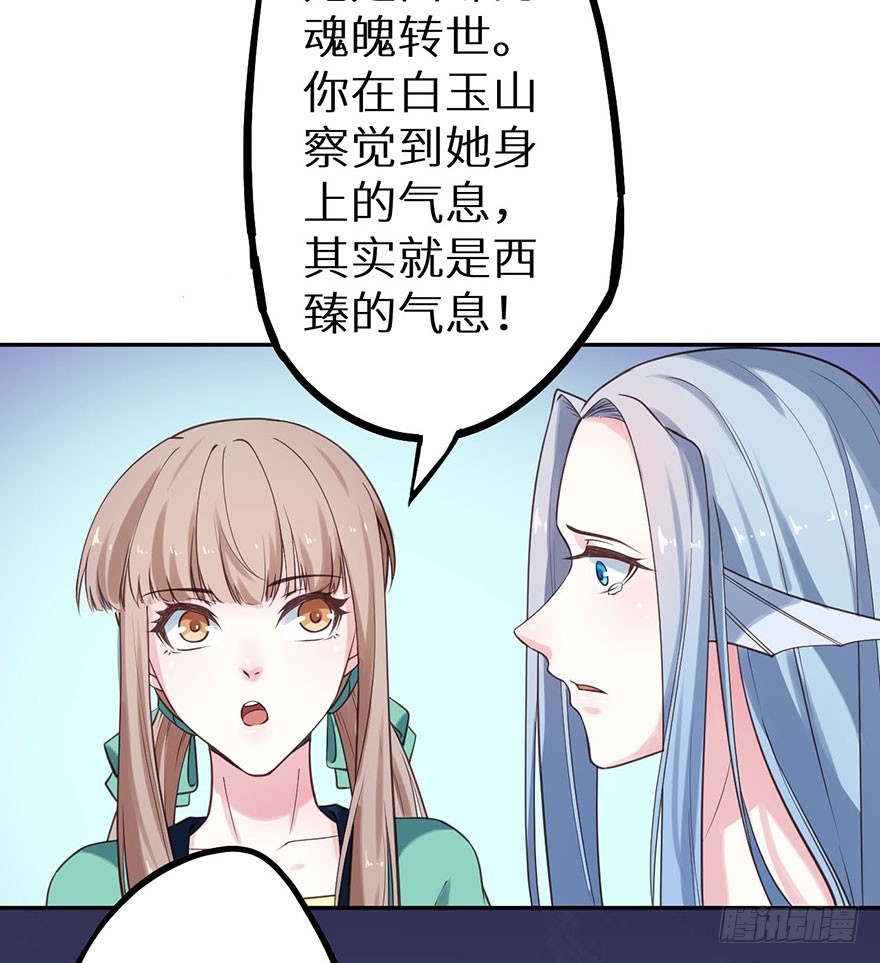 119猫神记忆碎片33