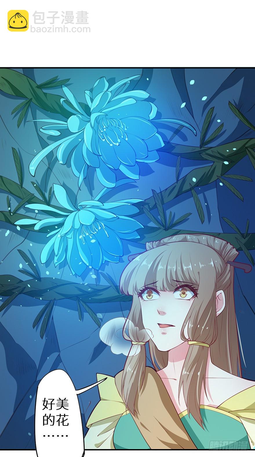 087琉璃昙花15