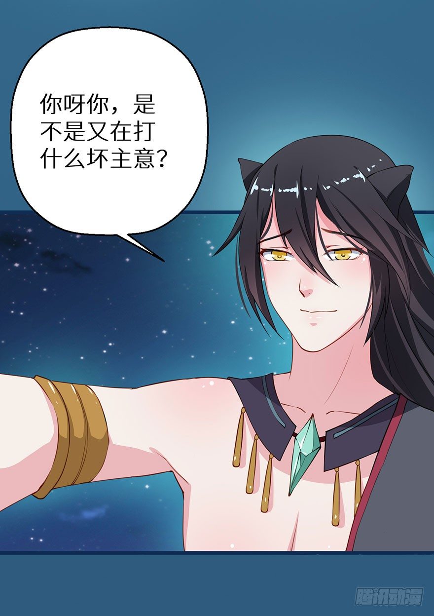 014九尾猫神4