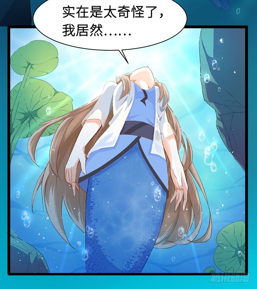 002香气诱猫的美人鱼3