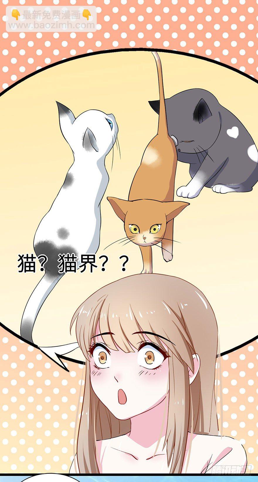 002香气诱猫的美人鱼12