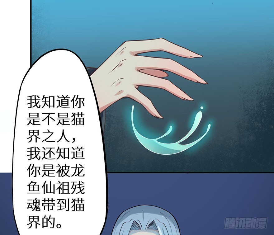 119猫神记忆碎片10