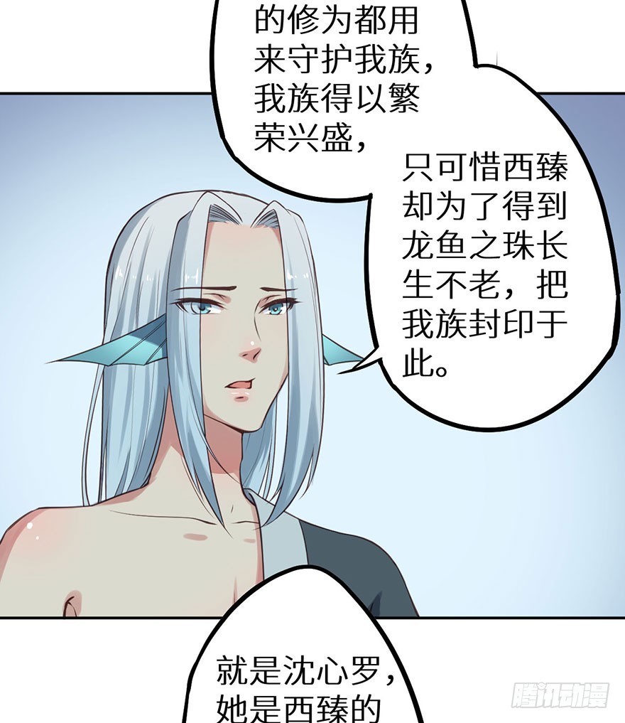 119猫神记忆碎片32