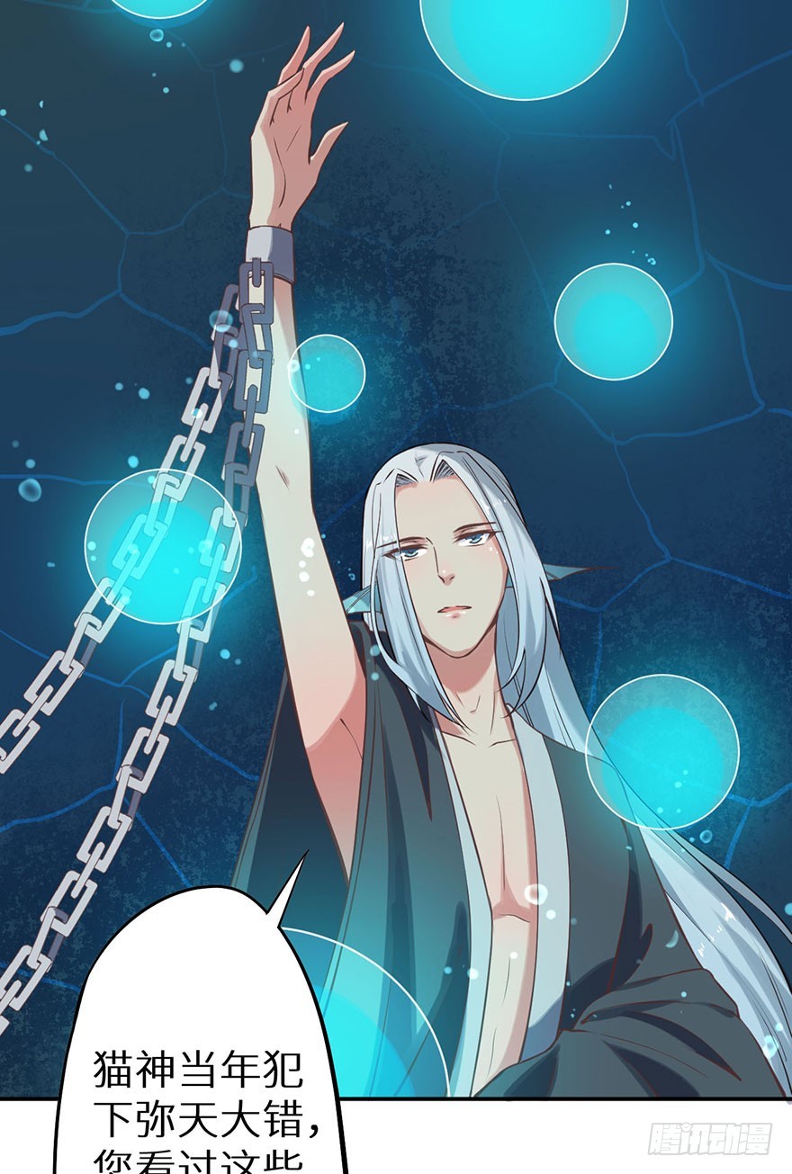 119猫神记忆碎片19