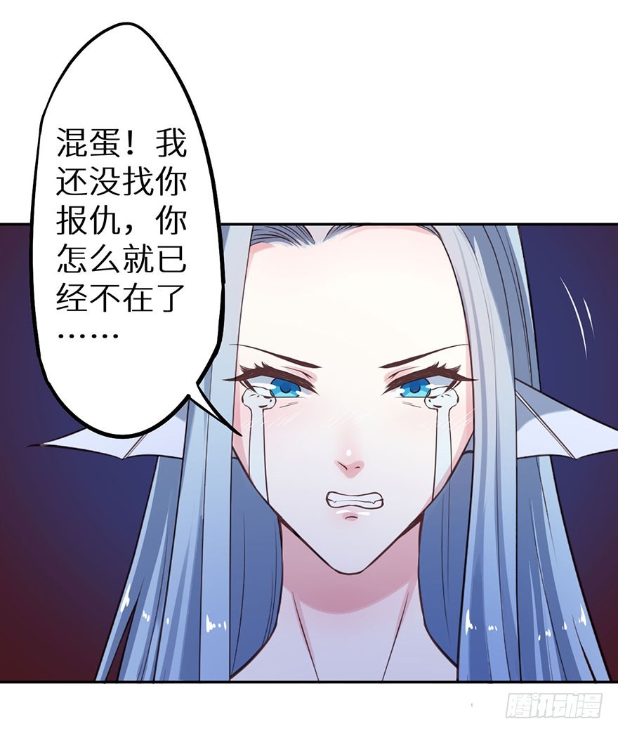 119猫神记忆碎片30