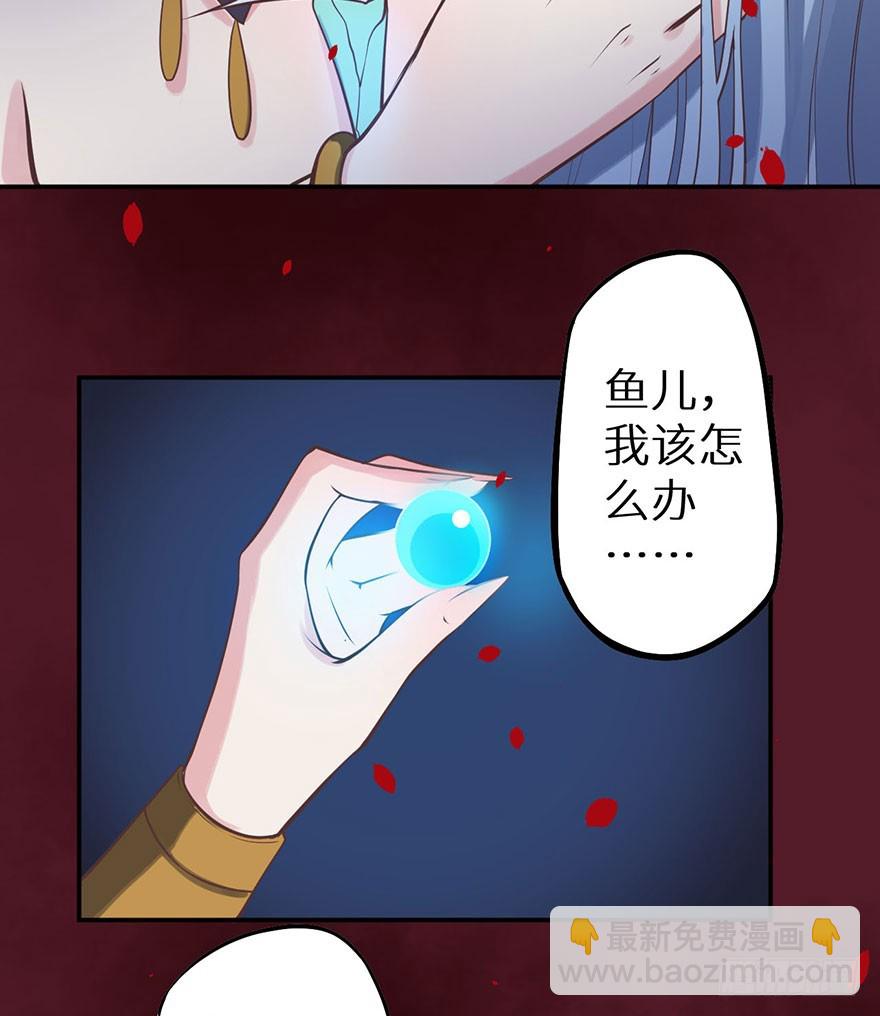 119猫神记忆碎片24