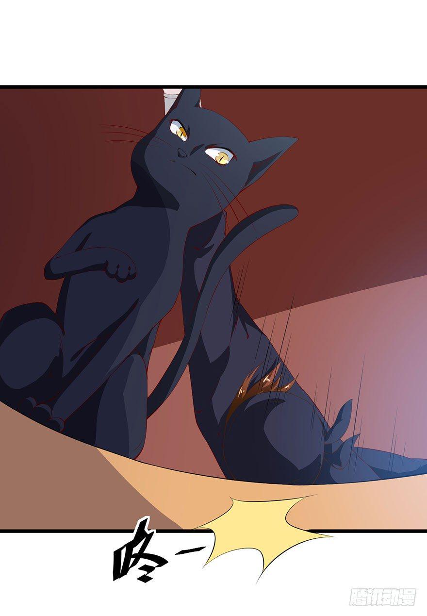 046猫爪救美8