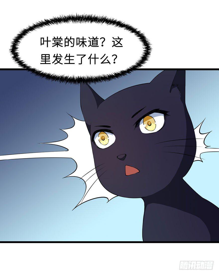 028爱猫不爱人5