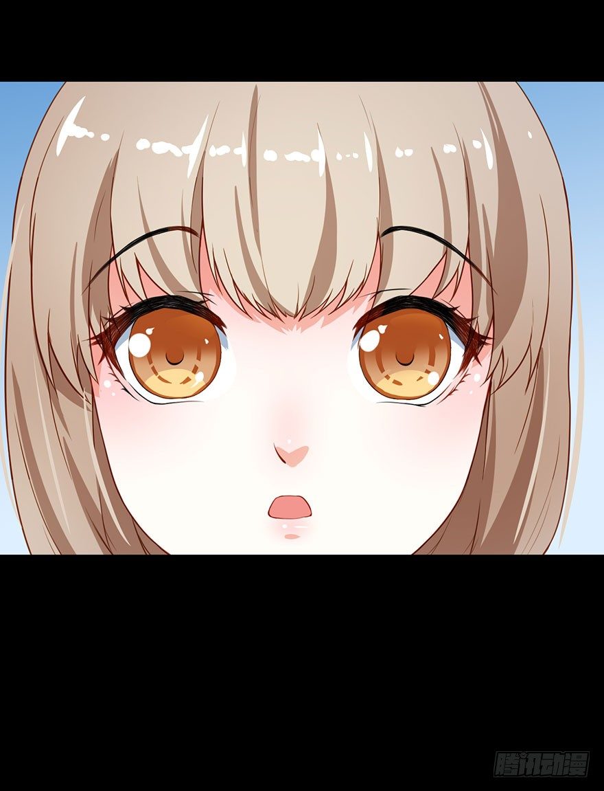 010猫奴的前世记忆18