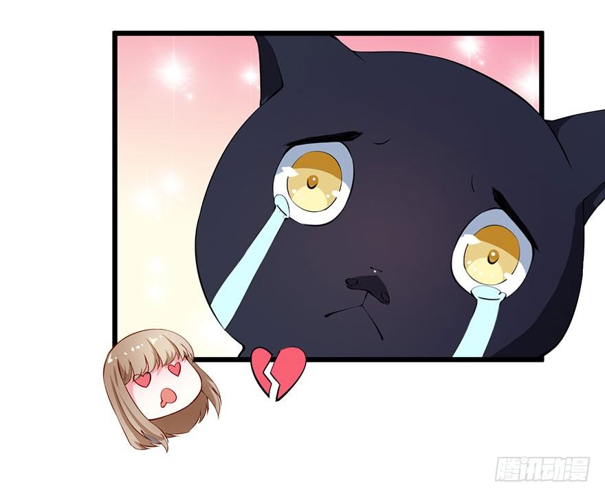 028爱猫不爱人35