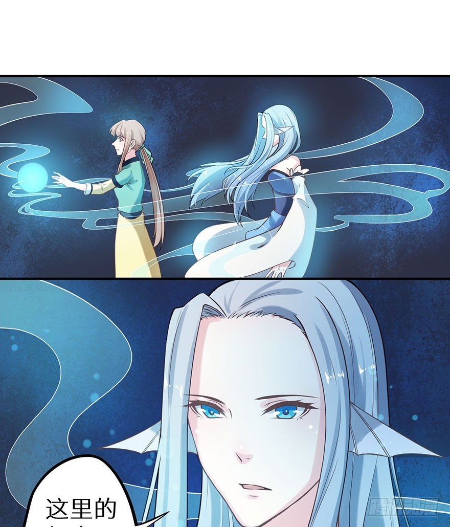 119猫神记忆碎片13