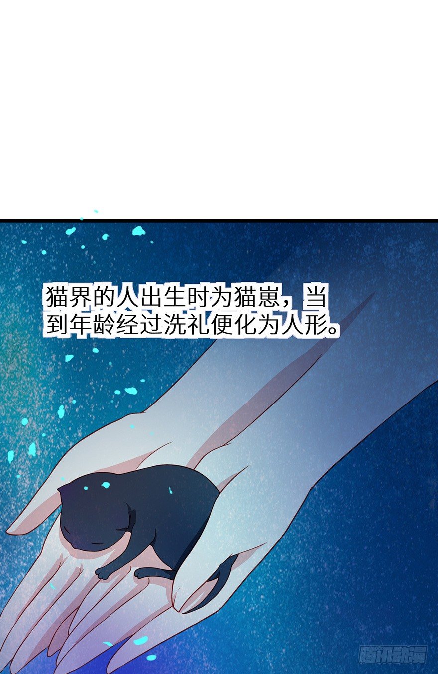 012幻术没奏效？！11