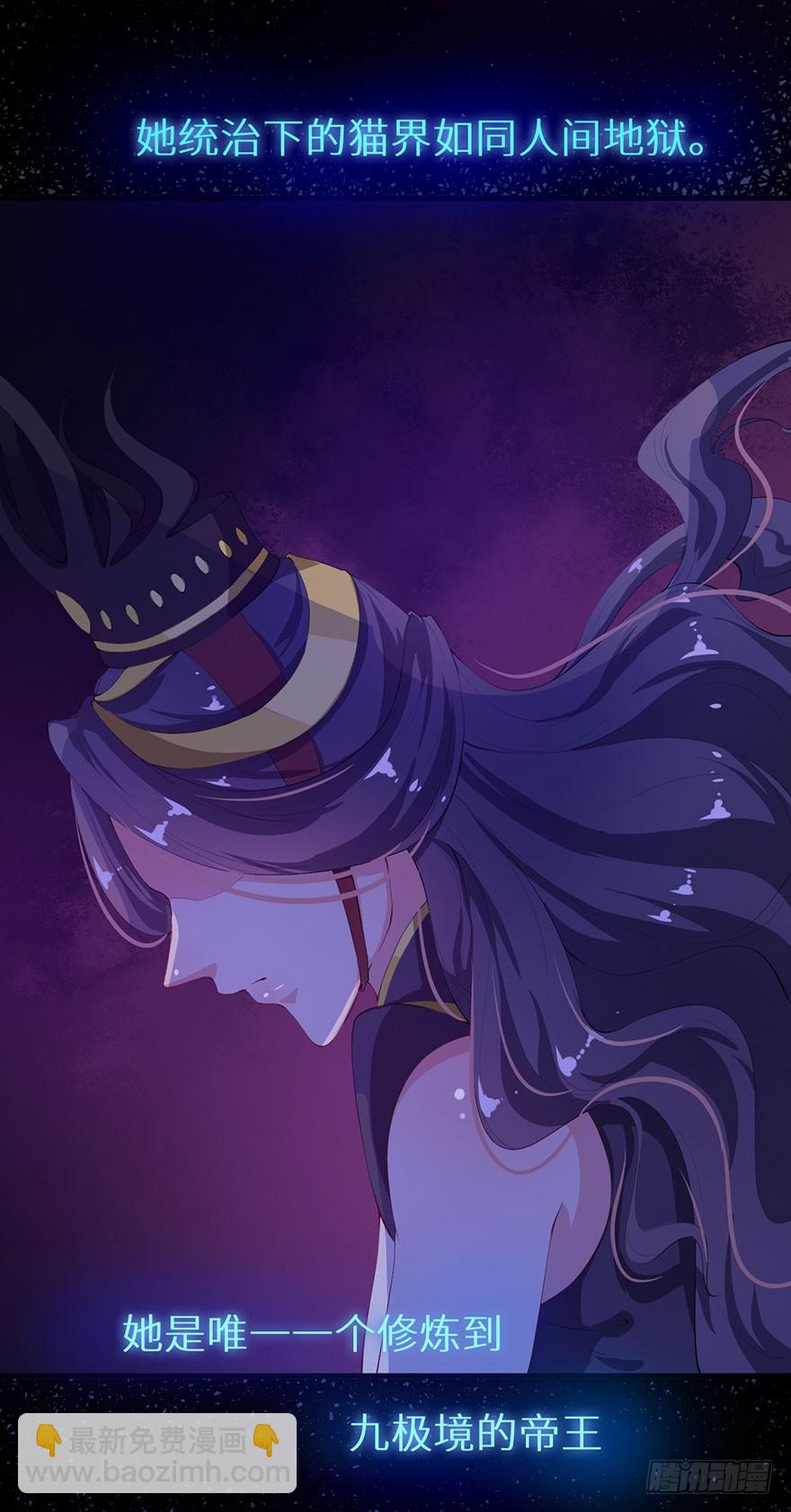 040西臻女王6