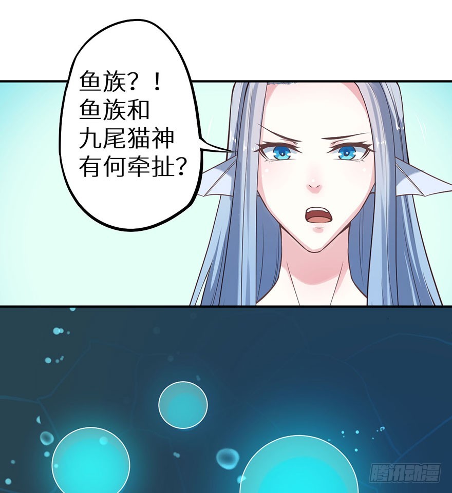 119猫神记忆碎片18