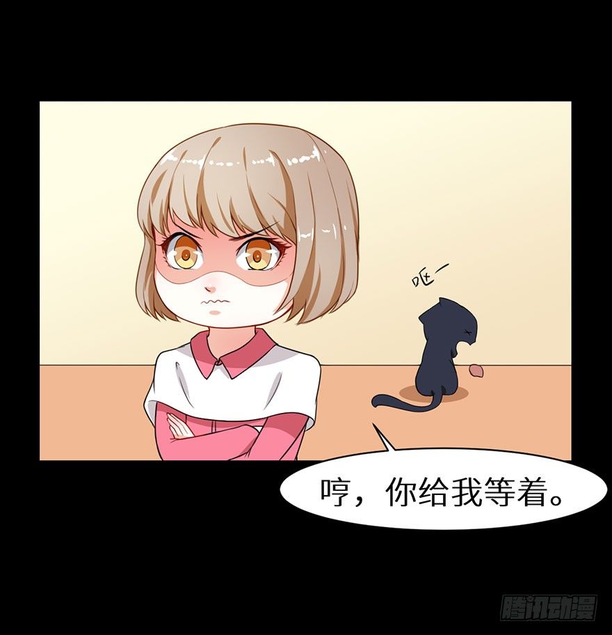 010猫奴的前世记忆26