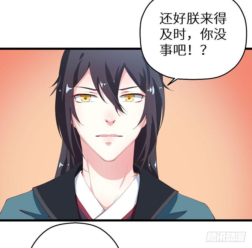 046猫爪救美12