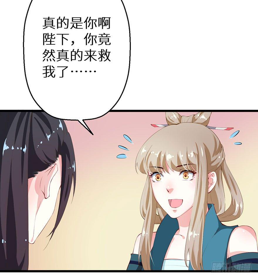 046猫爪救美13