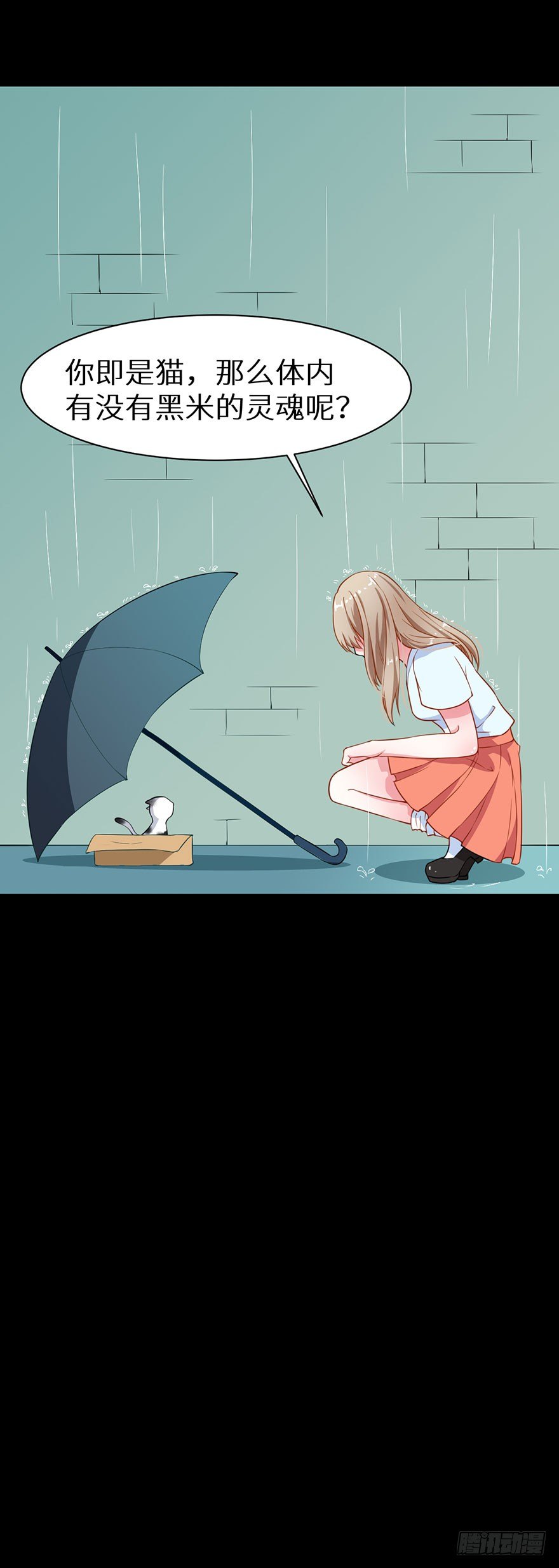 010猫奴的前世记忆45