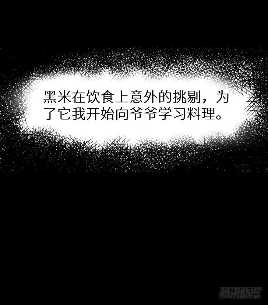 010猫奴的前世记忆30