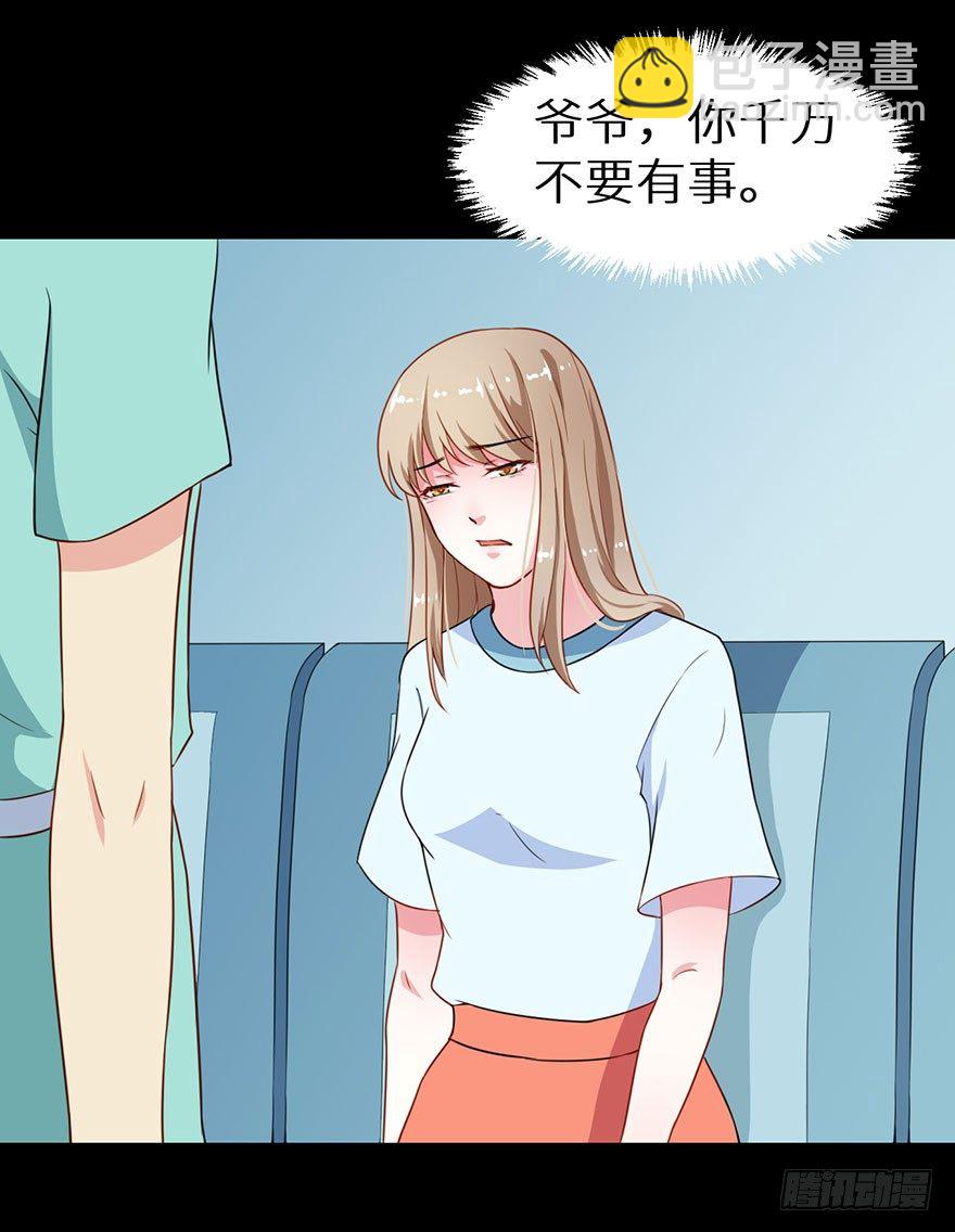 010猫奴的前世记忆35