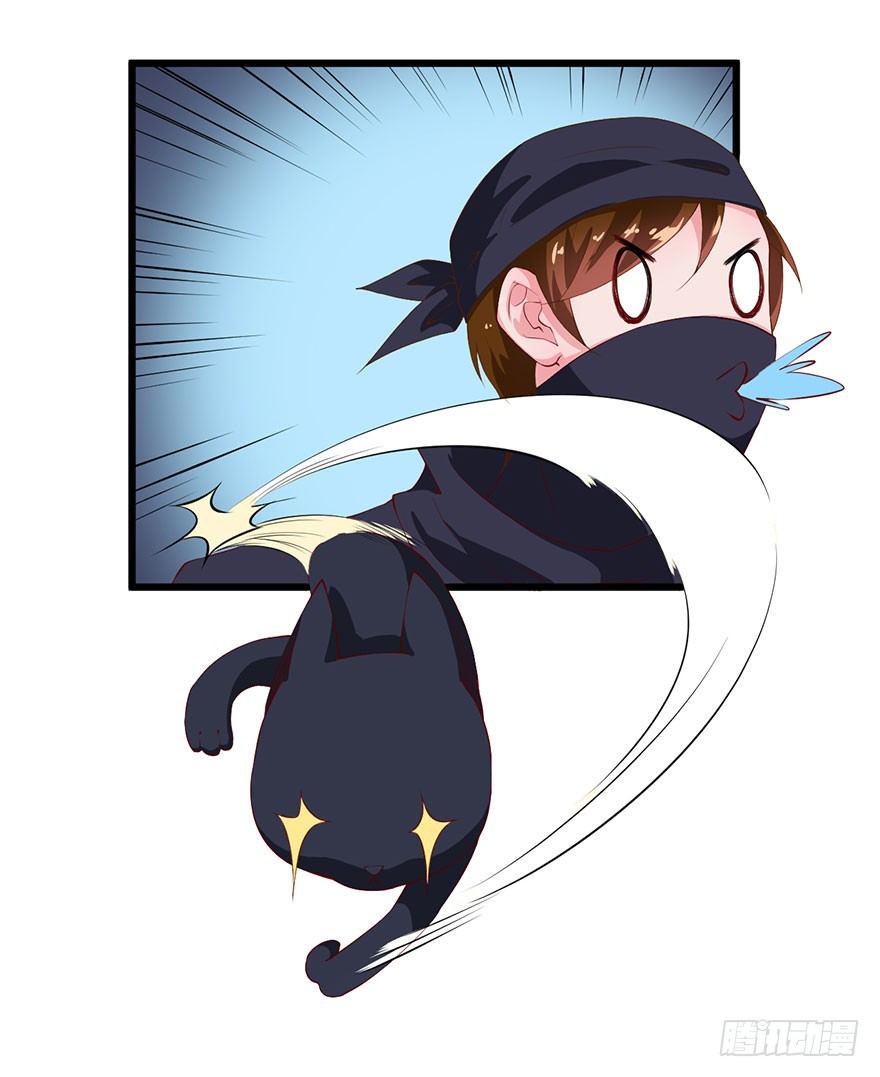 046猫爪救美7